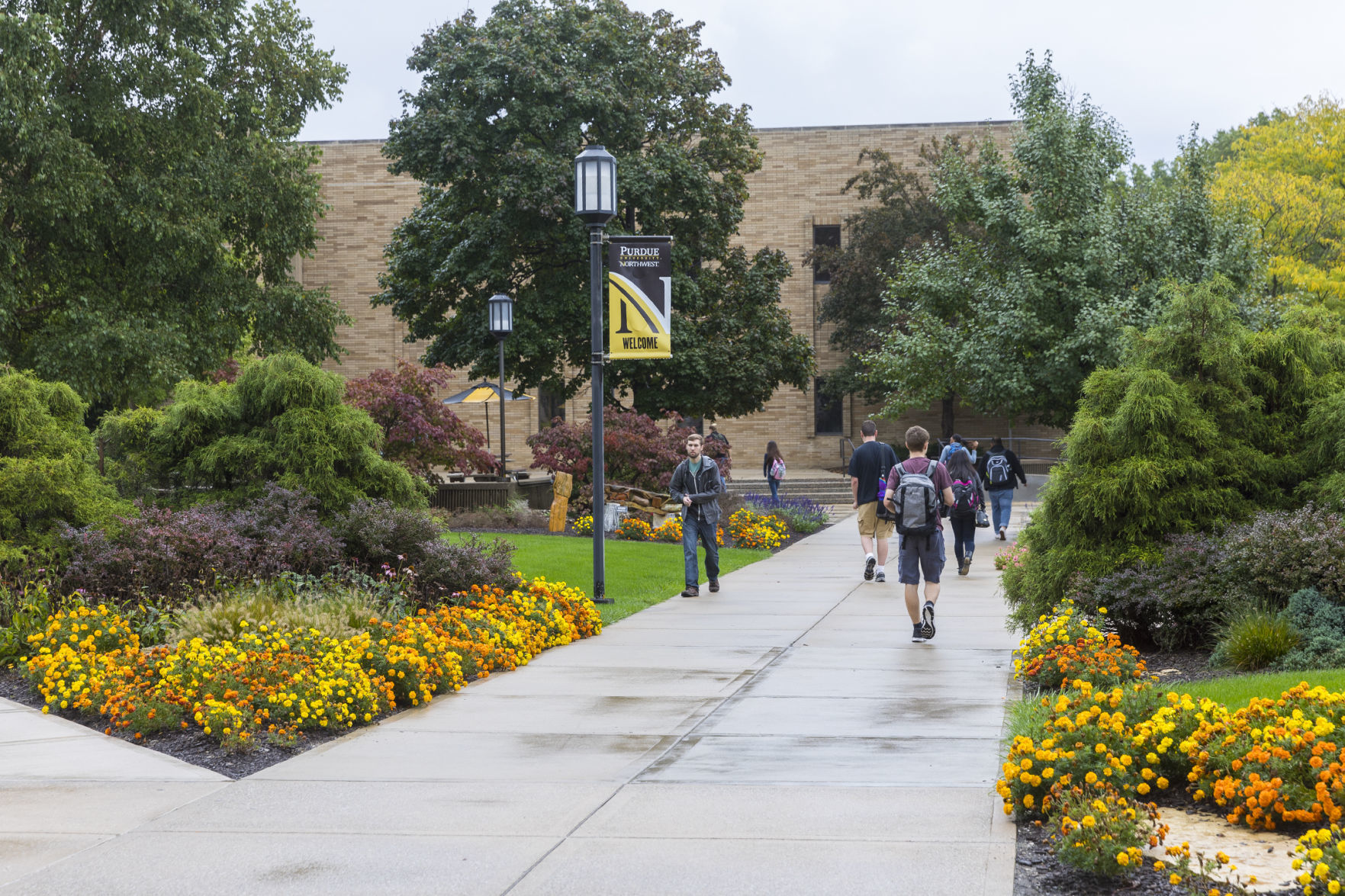 Best Adult Educational Institution